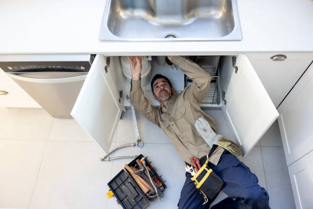 Best Plumbing System Maintenance  in Tigerville, SC